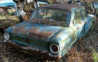 Fleming's Auto Parts Pumpkin Run