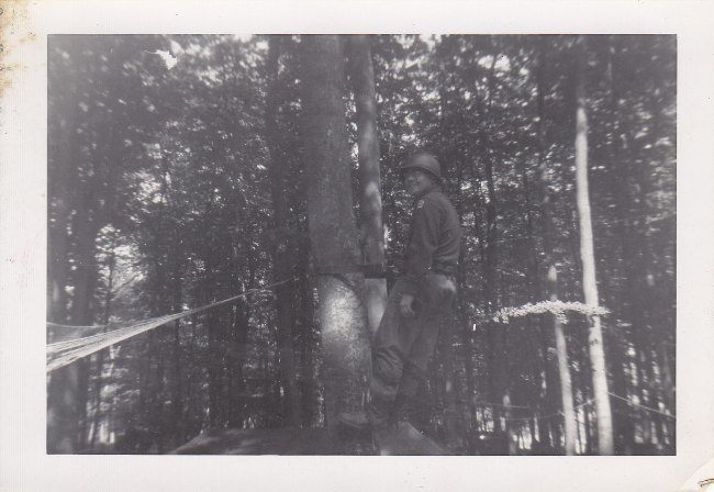 Warren Lohnes climbin' trees!