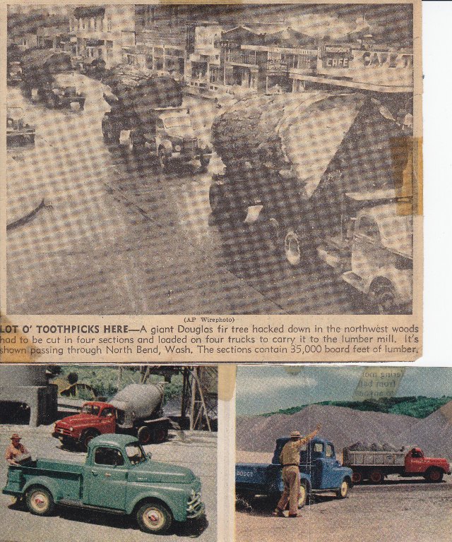 Huge Tree chunks on trucks