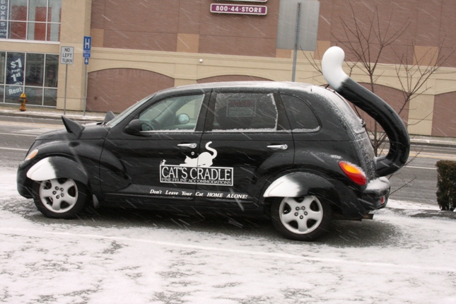 Car Car side Cat Car side