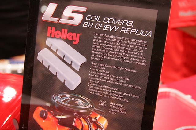 Holley LS Coil Covers