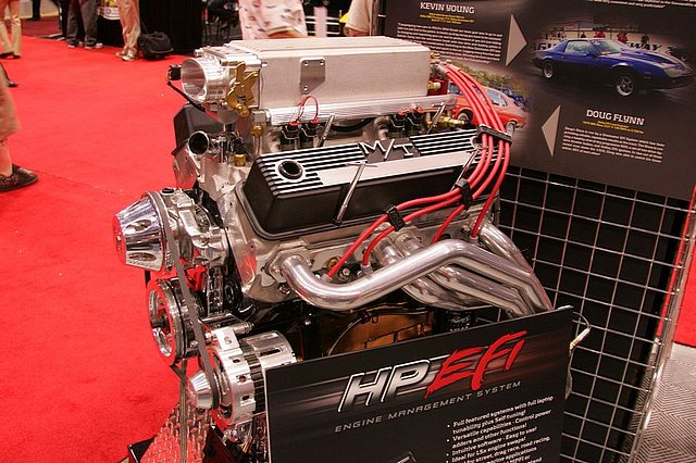 Holley EFI system