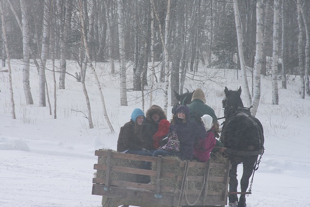 Freezing Sleigh Ride!
