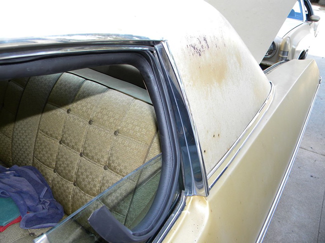 Caprice Window Seals