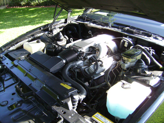 1987 Formula 350 Firebird