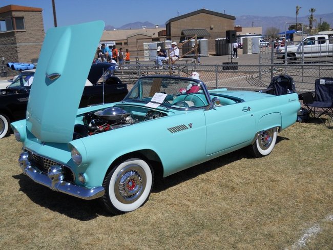 Nice T-Bird