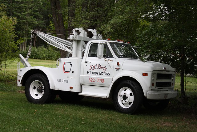 Brutus on the big 'Stones