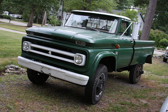 Goliath on the small rubber