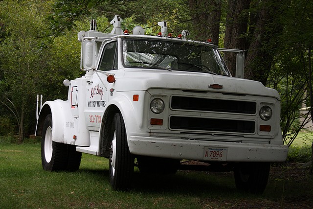 Brutus on the big 'Stones