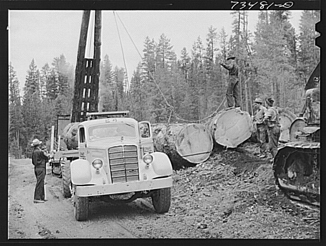 logs being loaded on truck