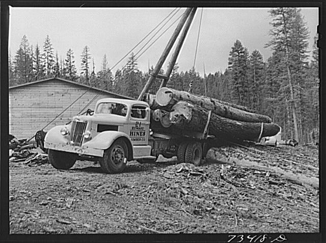 Logs being loaded