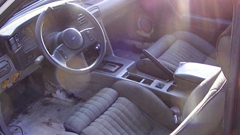 Click image for larger version
Name: mustang7.jpg
Views: 1
Size: 54.9 KB
ID: 879191
