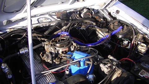 Click image for larger version
Name: mustang5.jpg
Views: 1
Size: 84.1 KB
ID: 879190