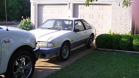 Click image for larger version
Name: mustang4.jpg
Views: 1
Size: 68.9 KB
ID: 879186