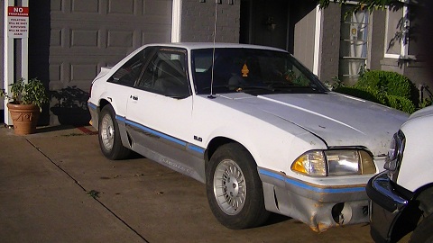 Click image for larger version
Name: mustang3.jpg
Views: 1
Size: 59.0 KB
ID: 879184