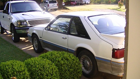 Click image for larger version
Name: mustang1.jpg
Views: 1
Size: 73.3 KB
ID: 879185