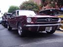 65 mustang's Avatar